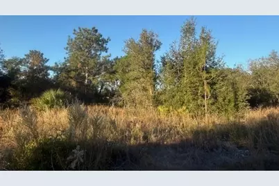 Magnolia Drive, Ocklawaha, FL 32179 - Photo 1