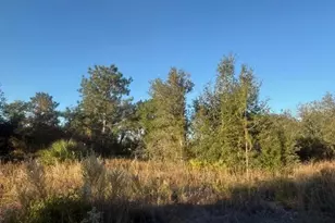 Magnolia Dr, Ocklawaha, FL 32179 - Photo 1