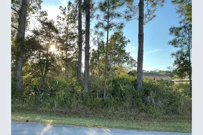 32 Sea Front Trail, Palm Coast, FL 32164 - Photo 1