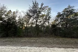 Tbd NE 123rd Terrace, Williston, FL 32696 - Photo 1