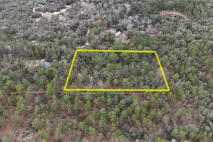 SE 152nd Ln, Umatilla, FL 32784 - Photo 1