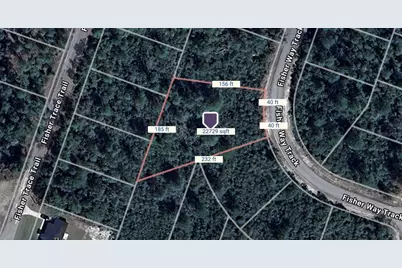 Tbd Fisher Way Track, Ocklawaha, FL 32179 - Photo 1