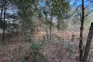 Tbd NE 194th St, Citra, FL 32113 - Photo 1