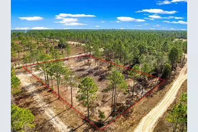 Tbd SW 121st Terrace, Dunnellon, FL 34432 - Photo 1