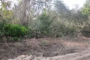 00 NE 239 Ln NE, Fort Mc Coy, FL 32134 - Photo 1