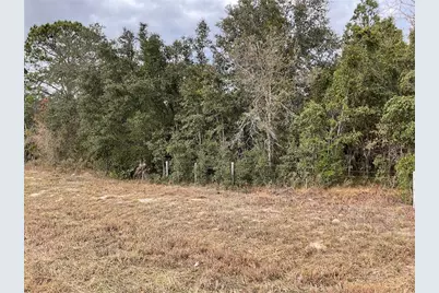 Tbd E Levy Street, Williston, FL 32696 - Photo 1