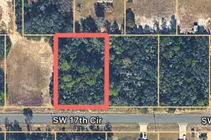 0 SW 17th Circle, Ocklawaha, FL 32179 - Photo 1