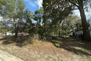 0 SE 30th Ct, Summerfield, FL 34491 - Photo 1