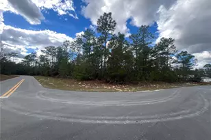 Tbd SW 39th Ct, Ocala, FL 34473 - Photo 1