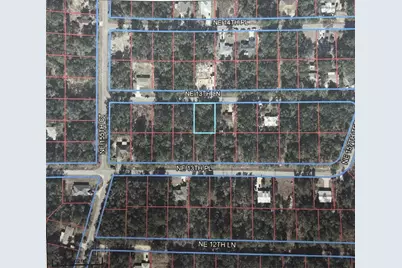Tbd NE 13th Lane, Williston, FL 32696 - Photo 1