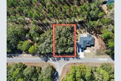 Tbd Guava Pass, Ocklawaha, FL 32179 - Photo 1