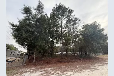 Se 147 Place, Summerfield, FL 34491 - Photo 1