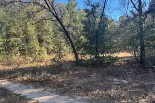 0000 NW 9th Pl, Ocala, FL 34482 - Photo 1