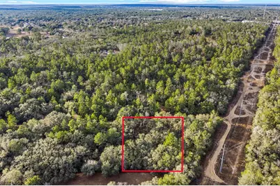 115 S Crestview Avenue, Inverness, FL 34452 - Photo 1