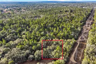115 S Crestview Ave, Inverness, FL 34452 - Photo 1