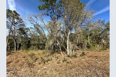 Tbd SE 67th Place, Morriston, FL 32668 - Photo 1