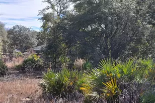 00 NE 78th Ln, Bronson, FL 32621 - Photo 1