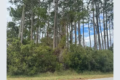 13 Lincoln Lane, Palm Coast, FL 32137 - Photo 1