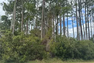 13 Lincoln Ln, Palm Coast, FL 32137 - Photo 1