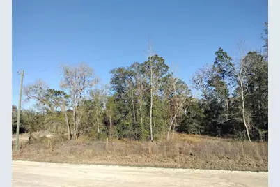 Se 136th Avenue, Morriston, FL 32668 - Photo 1