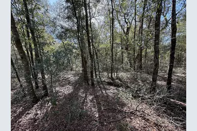 Tbd NE 80th Street, Bronson, FL 32621 - Photo 1