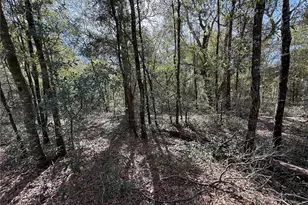 Tbd NE 80th St, Bronson, FL 32621 - Photo 1