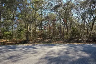 3686 W Parkview Dr, Dunnellon, FL 34433 - Photo 1