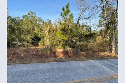 Lot 11 SW Half Moon Drive, Dunnellon, FL 34431 - Photo 1