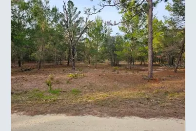 6341 W Stockholm Lane, Dunnellon, FL 34433 - Photo 1