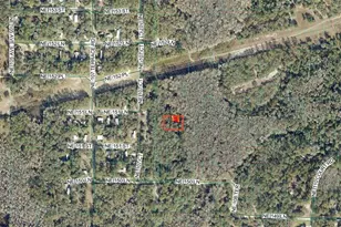 Tbd NE 151 Ln, Fort Mc Coy, FL 32134 - Photo 1