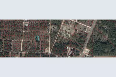 Ne 15th Lane Lot #16, Williston, FL 32696 - Photo 1