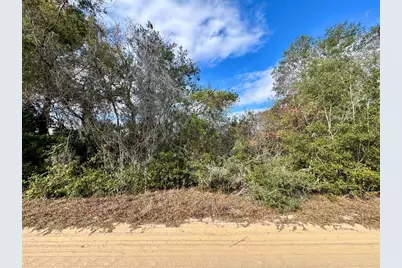 Ne 235th Street, Fort Mc Coy, FL 32134 - Photo 1