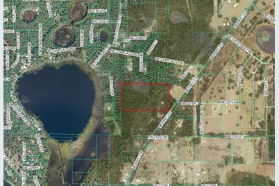 Ne Hwy 315 Highway, Fort Mc Coy, FL 32134 - Photo 1
