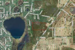NE Hwy 315 Hwy, Fort Mc Coy, FL 32134 - Photo 1