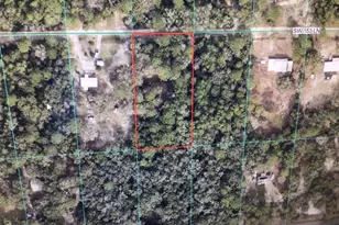 0 SW 153 Ln, Dunnellon, FL 34432 - Photo 1