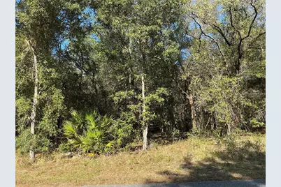 2039 E Newhaven Street, Inverness, FL 34453 - Photo 1