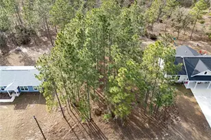 Tbd NE 150th Ave, Williston, FL 32696 - Photo 1