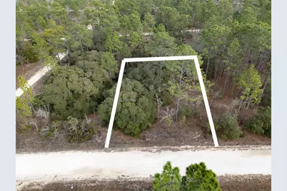 Tbd NE 150th Avenue, Williston, FL 32696 - Photo 1