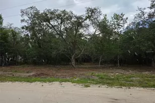 21531 SE 68th Ln, Morriston, FL 32668 - Photo 1