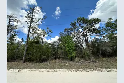 Tbd NE 63rd Place, Williston, FL 32696 - Photo 1