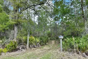 Tbd SE US Hwy 19, Inglis, FL 34449 - Photo 1