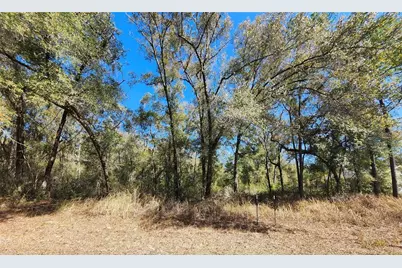 8585 N Alameda Drive, Citrus Springs, FL 34434 - Photo 1