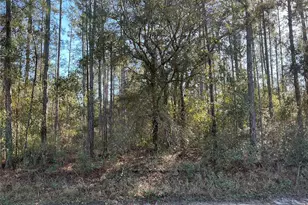 4345 Benedict St, Hastings, FL 32145 - Photo 1