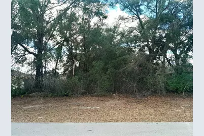 00 SW 28 Terrace Road, Ocala, FL 34473 - Photo 1