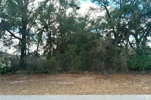 00 SW 28 Terrace Rd, Ocala, FL 34473 - Photo 1