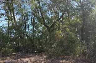 Tbd SE 84th Terrace, Summerfield, FL 34491 - Photo 1