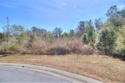 Tbd SE 41st Street SE, Ocala, FL 34480 - Photo 1