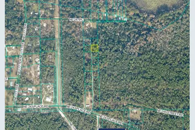 Tbd No Situs, Fort Mc Coy, FL 32134 - Photo 1