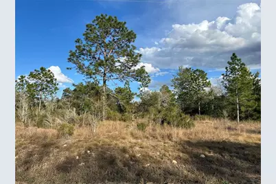 1091 NE 127th Court, Williston, FL 32696 - Photo 1