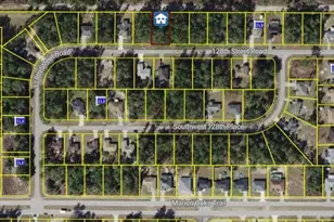 Tbd SW 128th Street Rd, Ocala, FL 34473 - Photo 1